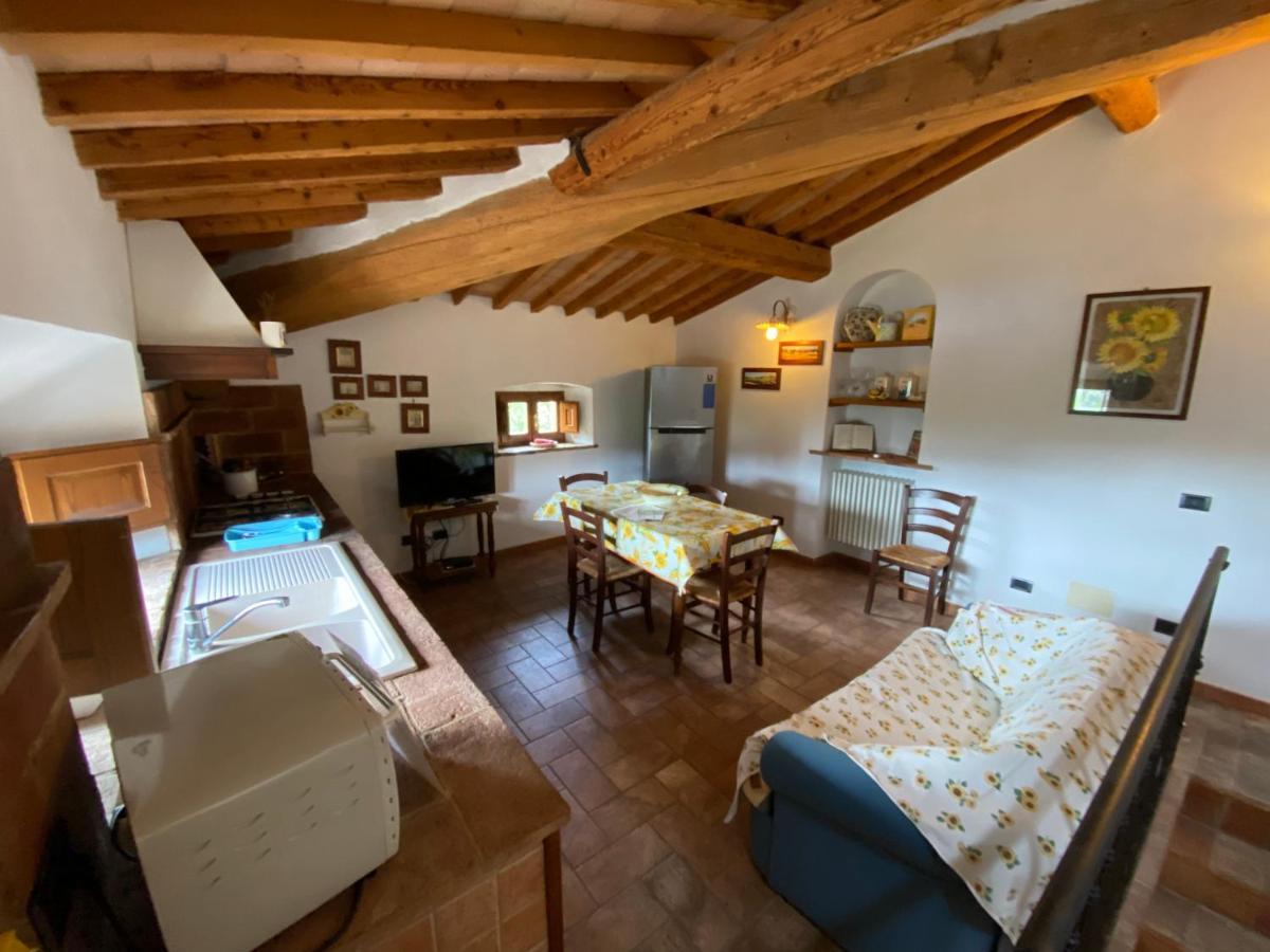 Casallario Volterra